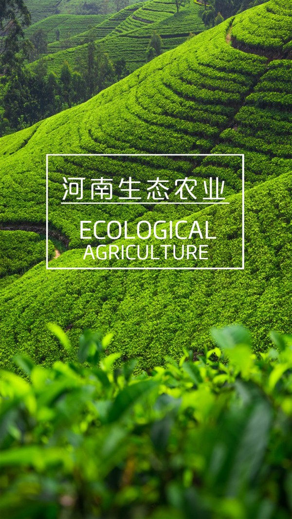 河南农业生态网截图展示1
