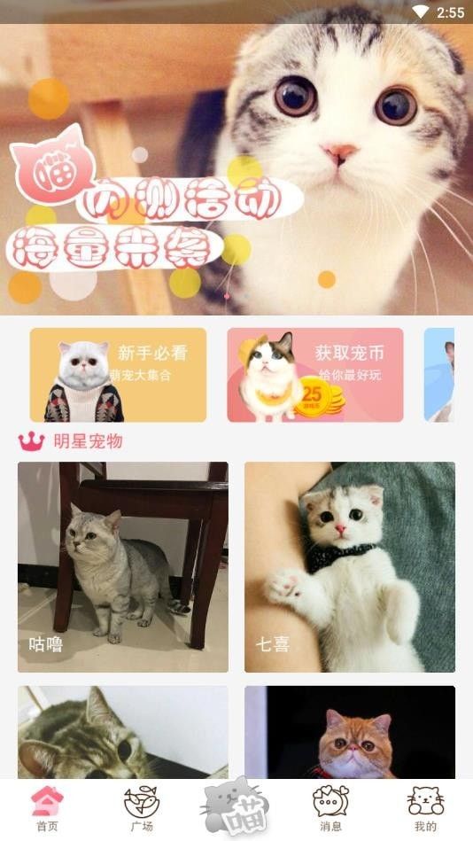 猫咪汇截图展示1