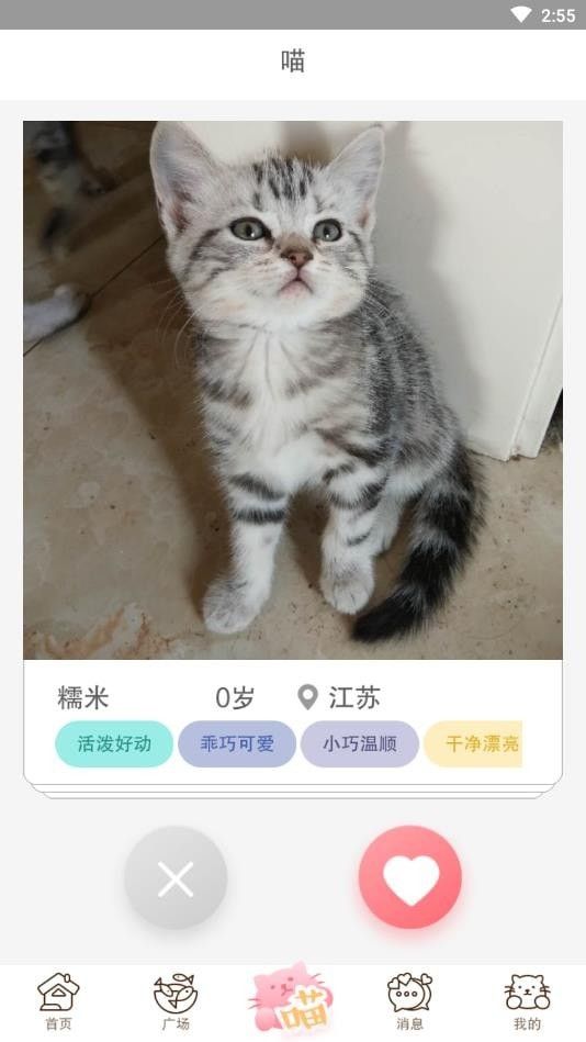 猫咪汇截图展示2