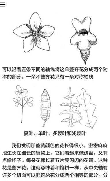 植物识别截图展示2