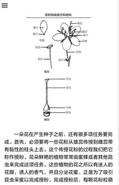 植物识别截图展示1