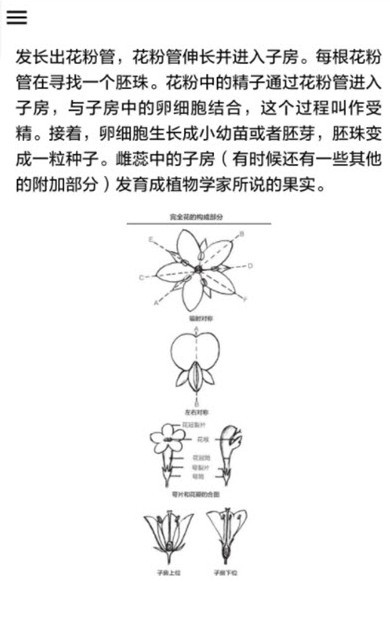 植物识别截图展示3